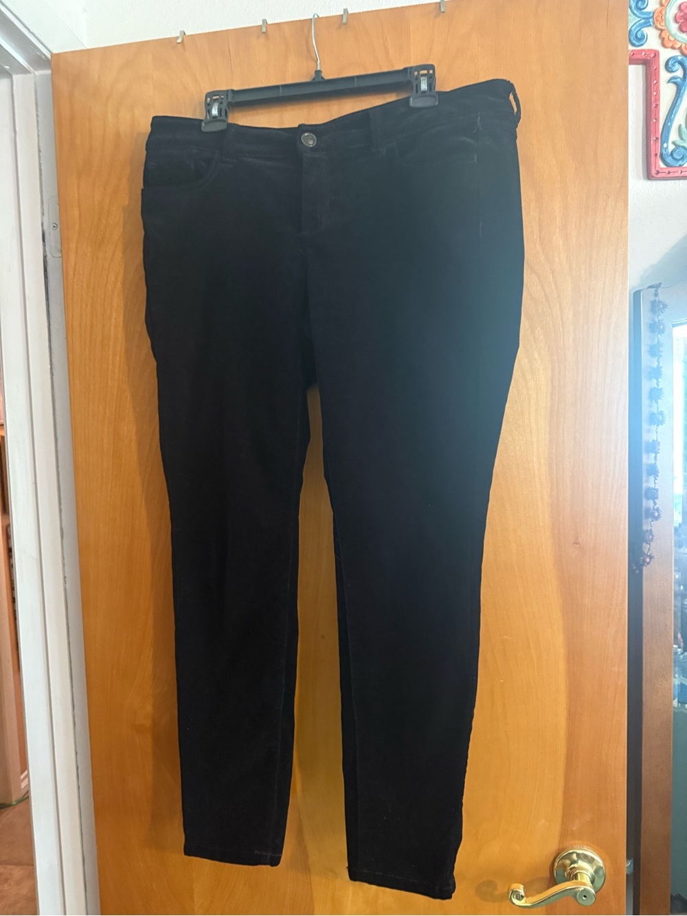 Velveteen LC Lauren Conrad Black Pants with Cream Label Accent